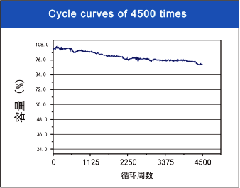 Lithium Iron Phoaphate (Lifepo4) Battery 12.8V 100AH (1280WH)-Nepal-Kathmandu
